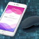 Photos: Shutterstock/Standard Innovation